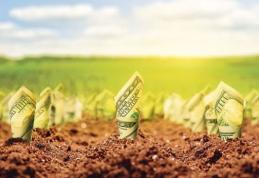 Viorica Dăncilă „Fermierii își vor primi în avans subvențiile pentru agricultură”