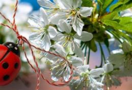 Felicitări, mesaje, urări de Mărţişor! Să aveţi o primăvară plină de soare şi fericire!