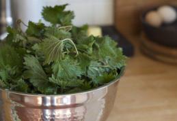 Adevărul pe care nimeni nu îl spune despre urzici. Nu mai mânca dacă suferi de această boală!