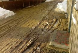 Primim la redacţie – „Care este modelul de cizme de cauciuc care se asortează cu lutul de pe strada mea, domnule Primar?” - FOTO
