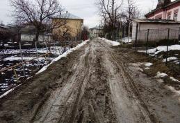 Primim la redacţie – Strada Dima Grigore arată ca un drum forestier – FOTO