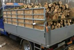 Material lemnos confiscat la Mihăileni! Un bărbat a primit o amendă uriașă