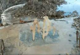 Primim la redacţie – „Propun tuturor celor care sunt afectați să dăm în judecată firma care a câștigat și efectuează lucrările”