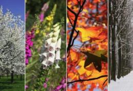 Meteorologii confirmă: Se schimbă anotimpurile! Motivul care a dus la venirea iernii în mijlocul primăverii