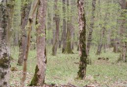 Tentativă de sinicidere anunțată la 112