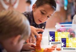 ANUNŢ DAS Dorohoi privind acordarea tichetelor sociale