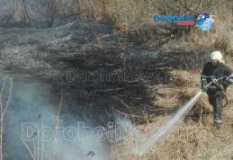 Incendiu de vegetație în Dorohoi! Aproximativ cinci hectare de vegetație uscată și stuf distruse de flăcări - FOTO 