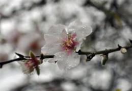 Vreme neașteptată pentru această perioadă. Când încep ploile