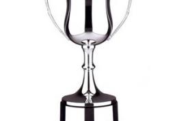 Dorohoienii particpă la concursuri şi câştigă premii