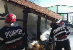 Peste zece tone de plante furajere și o seră afectate de un incendiu izbucnit într-o gospodărie din Dumbrăvița