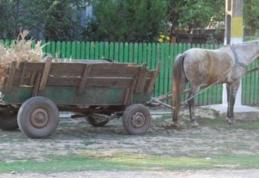 Accident stupid. De beat ce era a căzut din căruţă