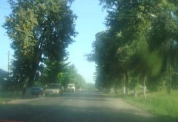 Accident produs astăzi după-amiază la Brăeşti