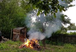 Primim la redacție – „În loc să simțim mireasma primăverii, ne lovim de nepăsarea unor cetățeni” – FOTO