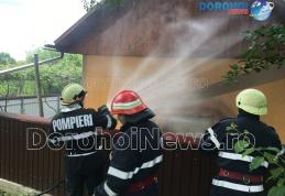 Incendiu izbucnit în curtea unei gospodării din Pădureni. Pompierii dorohoieni au prevenit extinderea acestuia - FOTO