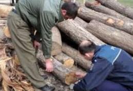 Comerț ilegal constatat la sediul unei unităţi din comuna Albeşti. Poliţiştii au confiscat 49 mc material lemnos