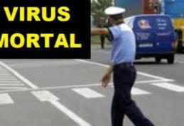 Panică în România! Drumuri închise pe o rază de 10 km. Un virus teribil a mobilizat autorităţile