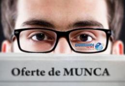 Peste 760 locuri de muncă disponibile în această săptamână în județul Botoșani. Vezi lista posturilor vacante!