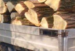 Material lemnos confiscat de polițiștii botoșăneni