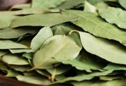 Aprinde frunze de dafin în casă şi vei vedea ce se întâmplă după câteva minute! Vei rămâne uimit