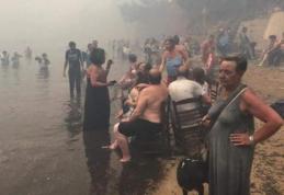 Imaginile tragediei din Grecia: Trupuri carbonizate, găsite îmbrățișate la câțiva metri de mare