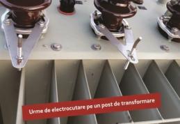 Victime din ignorarea pericolelor electrice