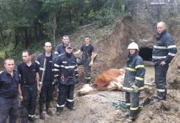 Misiune dificilă a pompierilor din Botoșani încheiată cu succes - FOTO