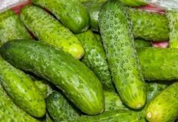 Alertă alimentară: tone de castraveţi contaminaţi au fost retrase de pe piaţă