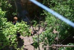 Legea picnicului a trecut de comisie. Faci grătar în faţa blocului, iei amendă