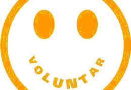 Anul European al Voluntariatului