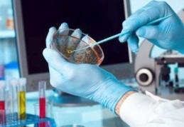 O nouă superbacterie rezistentă la toate antibioticele se răspândește în spitale