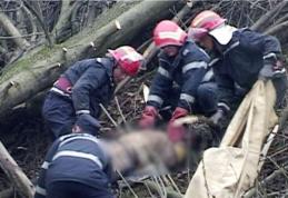 TRAGIC: Bărbat decedat după ce un copac a căzut peste el într-o pădure de pe teritoriul comunei Pomârla