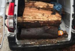 Amendă serioasă primită de un suceavean prins cu lemne fără documente legale