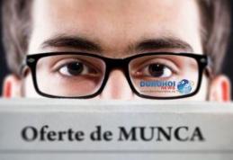 Ofertă cu peste o mie de locuri de muncă prezentată de AJOFM Botoșani. Vezi detalii!