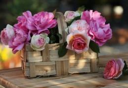 Sărbătoare mare la început de săptămână! Lor trebuie să le spui pe 29 octombrie „La mulţi ani”