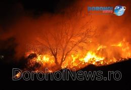 SVSU Dorohoi: În atenția celor care dețin depozite de furaje!