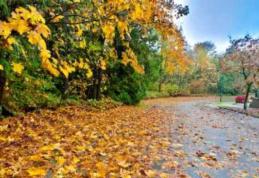 De luni se schimbă vremea - Prognoză meteo noiembrie