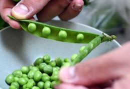 Locuri de muncă în AGRICULTURĂ – angajator din DANEMARCA