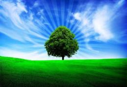 Istoria unor lucruri demult uitate: Partea I