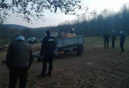 Şase metri cubi de lemn confiscat de jandarmi pe raza comunei Ibăneşti
