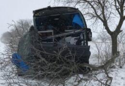 Tineri răniți din cauza vitezei. Au ajuns la spital după ce au intrat cu mașina într-un copac!