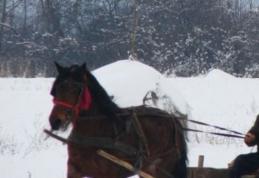 Căruţaş luat la bătaie de doi indivizi