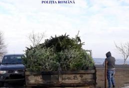 Brazi confiscați după mai multe controale efectuate de polițiștii de ordine publică