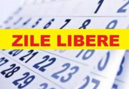 Guvernul a hotărât! Zilele de 24 și 31 decembrie 2018 sunt libere pentru bugetari