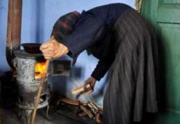 Comunicat DAS Dorohoi: În atenția beneficiarilor de ajutoare de încălzire cu lemne, cărbuni și combustibili carboniferi