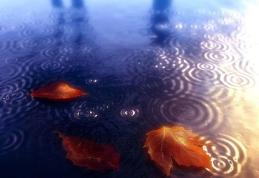 Toamna vine tiptil, tiptil