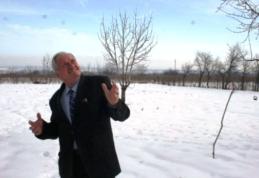 Caz uluitor: Un primar mort de două luni, va fi rejudecat într-un dosar de corupție!