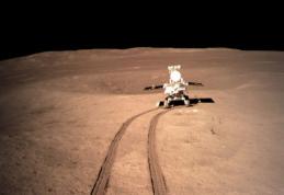 Noi informații despre prima sămânță care a încolțit pe lună. Vezi anunțul cercetătorilor