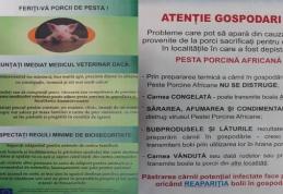 ATENȚIE GOSPODARI – Feriți-vă porcii de pesta porcină