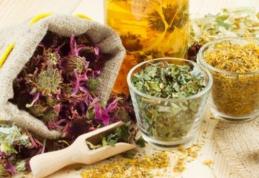 Tratamente din plante pentru o digestie sănătoasă