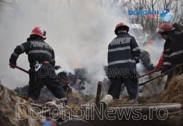 Incendiu la Dumeni! Pompierii dorohoieni au intervenit pentru stingere - FOTO